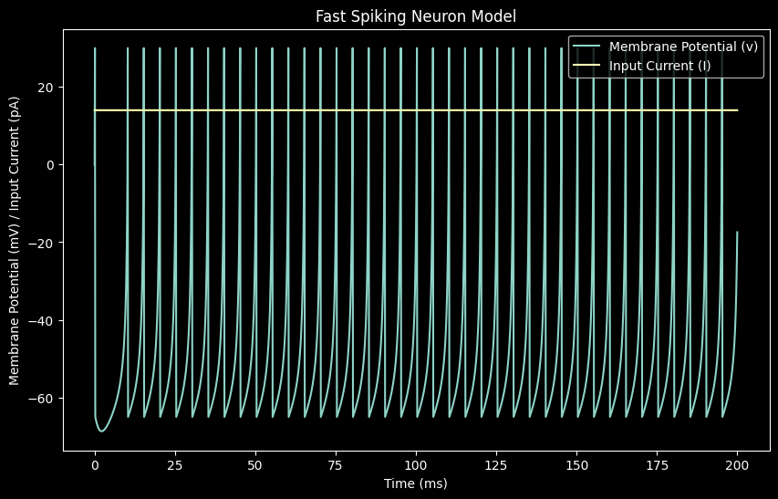 Fast Spiking (FS)