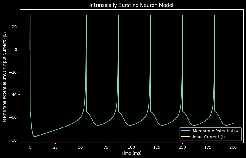 Intrinsic Bursting (IB)