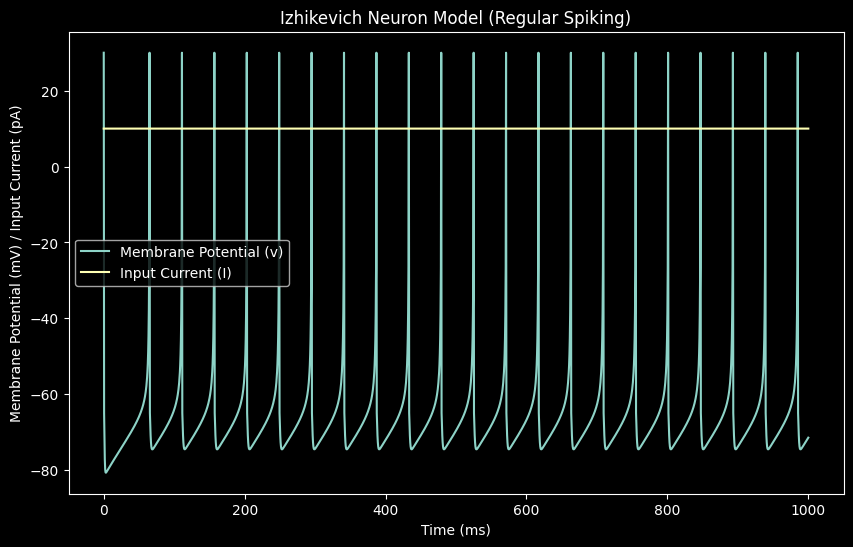 Regular Spiking (RS)