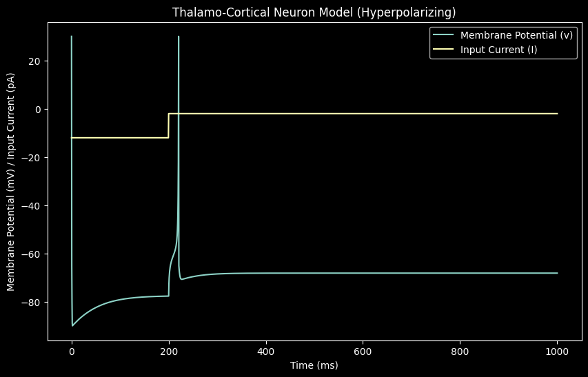 TC2 (Thalamo-Cortical 2)